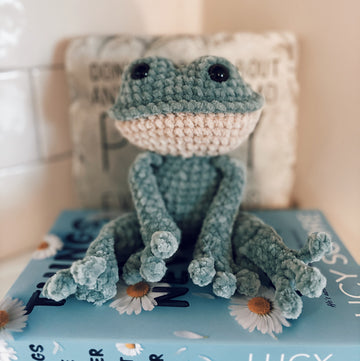 Frog reading buddy