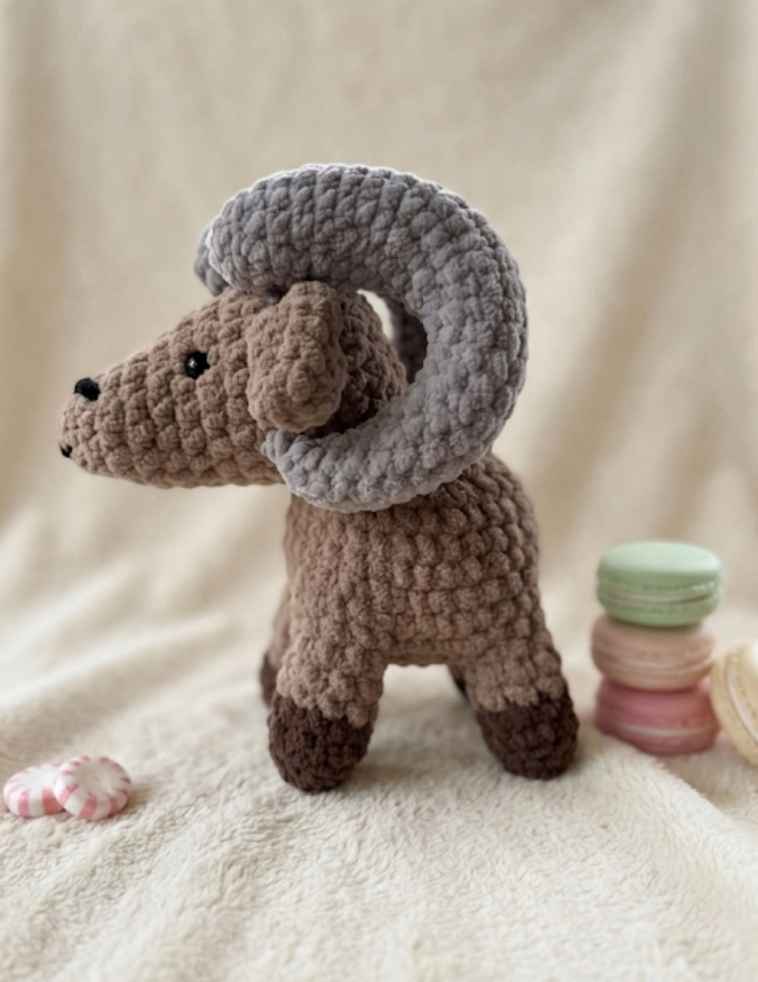 Bighorn Sheep