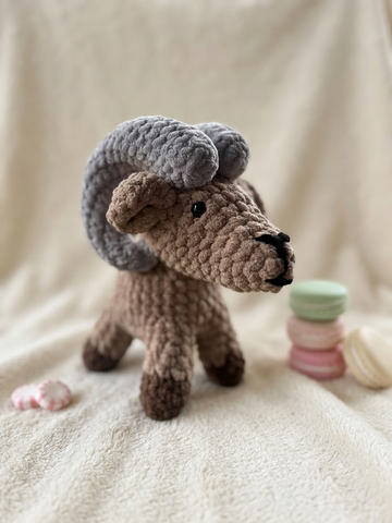 Bighorn Sheep