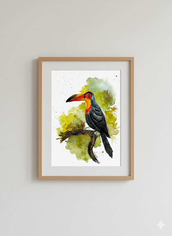 Toucan Watercolor